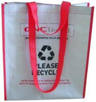 PP Woven Bag/Promotional Bag/Shopping Bag