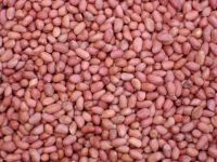 red skin peanut kernels