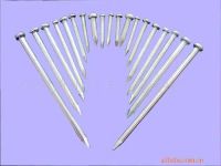 Common Nails