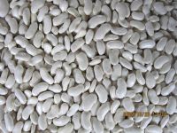 White Kidney Beans(flat shape)