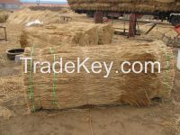 roofing reed