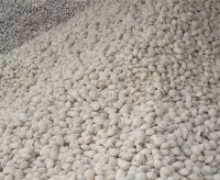Magnesium Oxide (MgO)