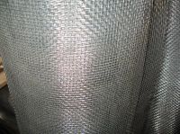 Galcanized Welded Wire Mesh