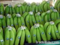 boxes of bananas