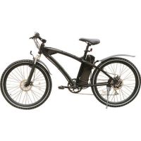 electric bicycle