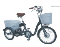 electric tricycle