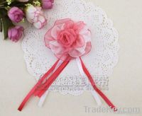 Great Ribbon Bow