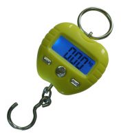 Hanging Scale
