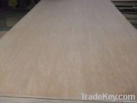 Commercial Plywood