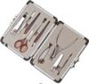 Manicure Kit