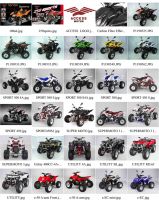 Access Motor ATV/UTV/Mini ATV Catalogue