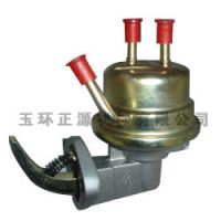 Fuel Pump TP673
