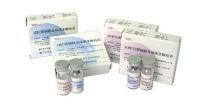 Meningococcal Vaccine