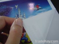 Self adhesive vinyl