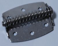 Spring Hinge