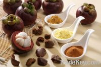 Mangosteen Extract