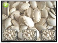 Shine Skin Pumpkin Seeds