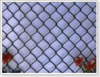 chain link wire mesh