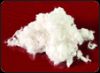 NEWDAL FIBER