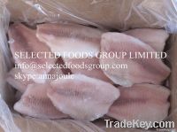 Frozen Tilapia Fillets