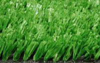 Artificial Grass