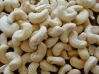 Cashew Nuts W240, W320, W450, Splits