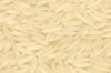 BASMATI RICE EXPORTER| KERNAL RICE WHOLESALER