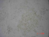 Ice Cream Beige-white Limestone