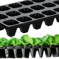 seedling tray
