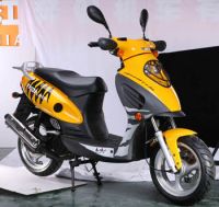 Scooter, Gas Scooter, Eec Scooter
