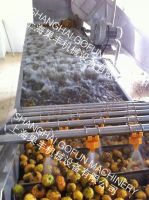 Automatic fruit spraying and brushing washing machine