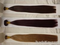 wholesale top quality / cheap price pre-bonded hair extension