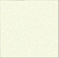 porcelain  tile