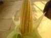 Coconut , Corn