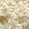 Rice Supplier| Rice Exporter | Rice Manufacturer | Rice Trader | Rice Buyer | Rice Importers | Import Rice