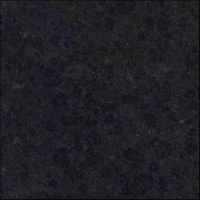 Shanxi Black
