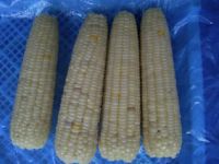 IQF sweet corn