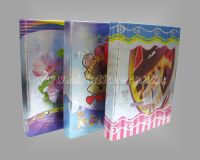 OEM File Folder