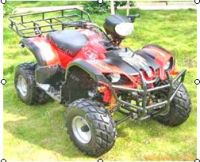 Mini ATV