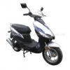 Scooter (BD50QT-14P-3