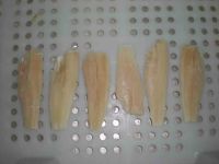 notothenia fillet