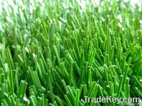 Soccer grass DSG