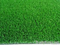 Tennis grass DNG12