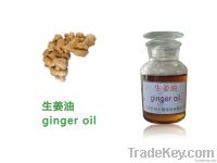 Ginger Oil, Essential oil, Spices (Cas.8007-08-7 )