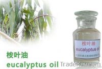 Organic Eucalyptus Oil, Eucalyptus essential oil, Pure eucalyptus Oil