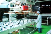 LAMINATED GLASS