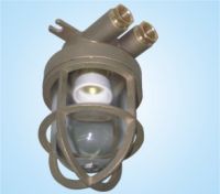 pendant light