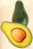 https://cn.tradekey.com/product_view/Avocado-Fresh-From-Mexico-88833.html