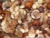 sell mushroom dry boletus