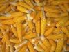 https://cn.tradekey.com/product_view/Maize-Maize-Exporter-Corn-Grain-Seller-Maize-Buyer-Bulk-Maize-Grain-Importer-Corn-Bean-Buyer-Corn-Bean-Wholesaler-Corn-Grain-Manufacturer-Best-Quality-Corn-Grain-Cheap-Maize-Supplier-Low-Price-Corn-Yellow-Corn-White-Cron-Baby-Ma-990065.html
